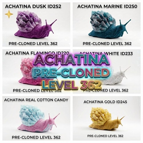 Achatina pre cloned livello - pre-cloned,